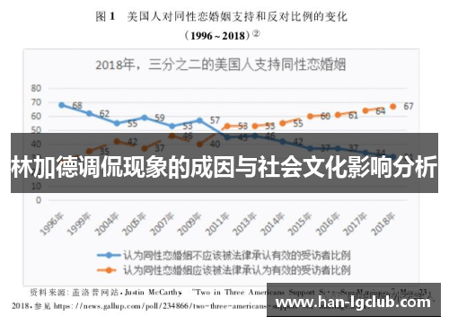 林加德调侃现象的成因与社会文化影响分析