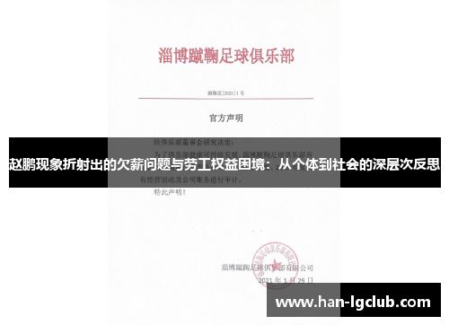 赵鹏现象折射出的欠薪问题与劳工权益困境：从个体到社会的深层次反思